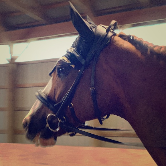 Meet your Posher, Nicole - Picture 1 of 1